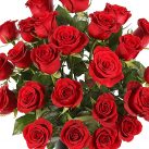 TWO-DOZEN-RED-ROSES-02