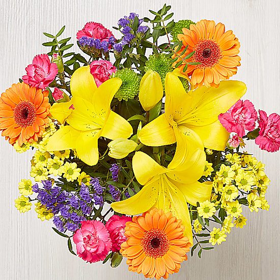 VIBRANT-SORBET-02 VIBRANT-SORBET-02