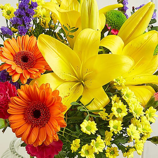 VIBRANT-SORBET-03 VIBRANT-SORBET-03